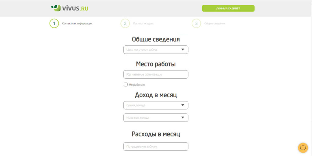Заполнение анкеты для получения займа Vivus